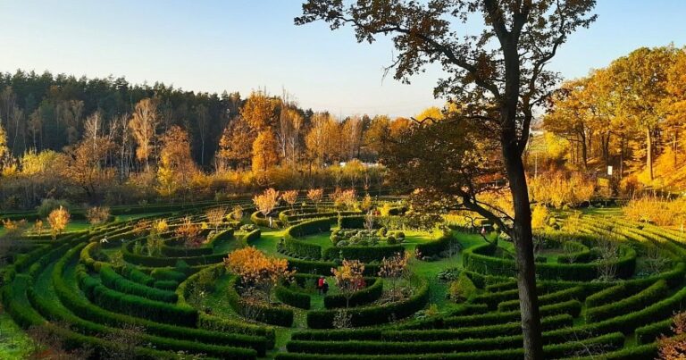 Śląski Ogród Botaniczny