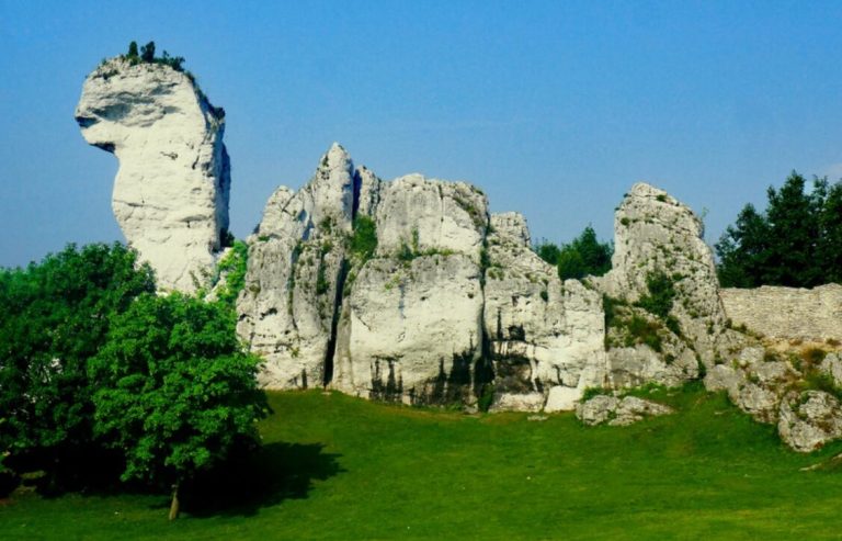Jura Krakowsko – Częstochowska – 1 dzień